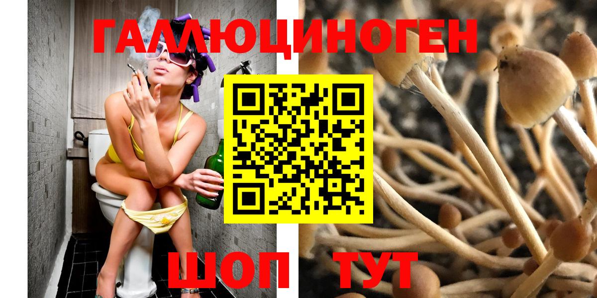 Галлюциногенные грибы Psilocybe Керчь