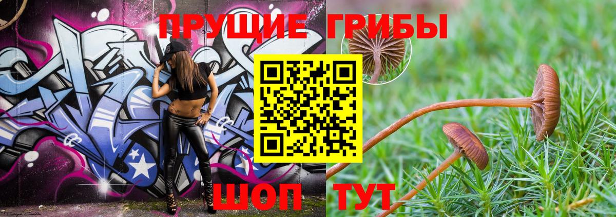 Керчь  где купить наркоту  Галлюциногенные грибы MAGIC MUSHROOMS  Вход с VPN  Галлюциногенные грибы мицелий 